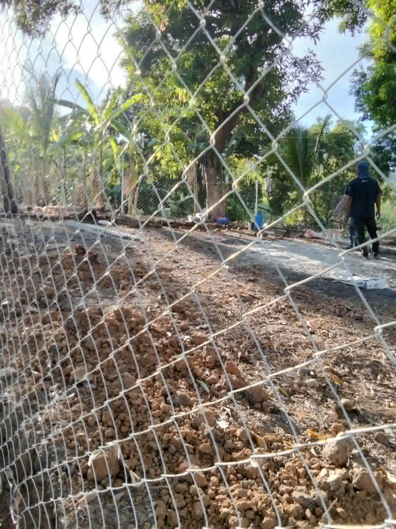 Site boundary fence at Worthy Steps